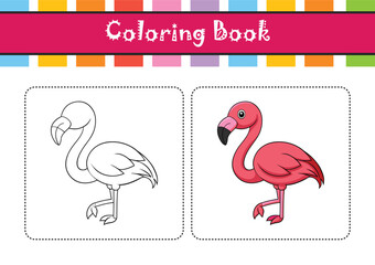 Elegant Greater Flamingo Bird Vector