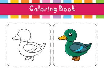  Realistic Green-Winged Teal Bird Illustration