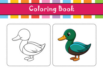  Green-Winged Teal Bird Colorful Artwork