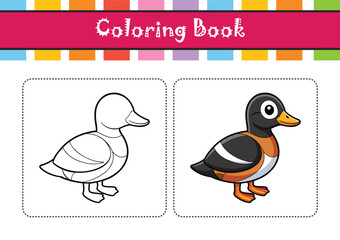  Harlequin Duck Bird Realistic Art