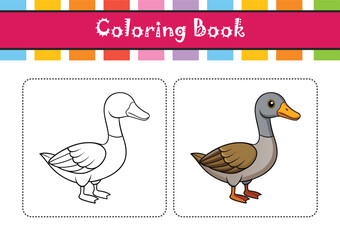  Hawaiian Goose Bird Colorful Artwork