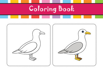  Vivid Ivory Gull Bird Design