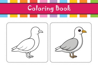  Bright Ivory Gull Bird Artwork