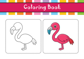  Stunning Lesser Flamingo Nature Illustration