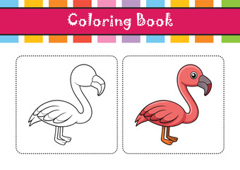  Bright Lesser Flamingo Bird Artwork