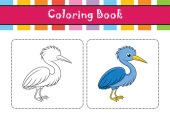  Vivid Little Blue Heron Bird Vector