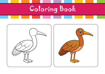  Vivid Long-billed Curlew Bird Design