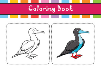  Charming Magnificent Frigatebird Bird Design