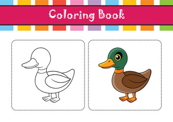  Charming Mallard Bird Artwork