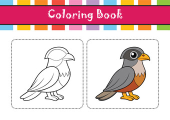  Elegant Merlin Bird Vector