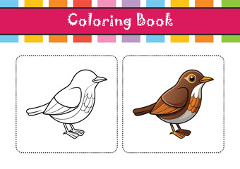  Northern Waterthrush Bird Realistic Art