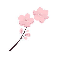 Isolated twig with two pink cherry flowers and buds. Flat vector icon. Grainy texture effect. Perfect for logos, branding and other design.