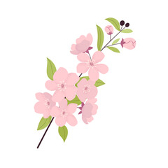 Isolated spring twig with flower heads, buds and green leaves. Grainy texture effect. Perfect for logos, branding and other design.