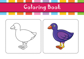  Vivid Purple Gallinule Bird Design