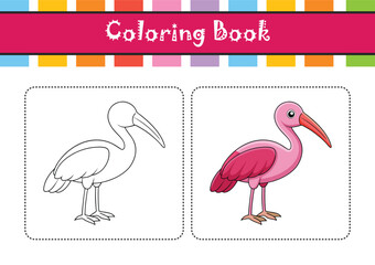 Stunning Roseate Spoonbill Nature Illustration
