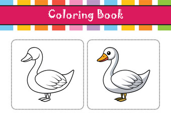  Tundra Swan Bird Realistic Illustration