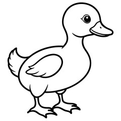 vector illustration of a duck