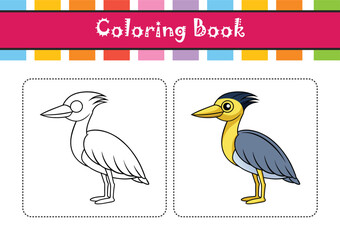 Obraz premium Charming Yellow-crowned Night Heron Bird Design