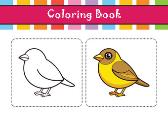  Stunning Yellow-eyed Junco Bird Illustration