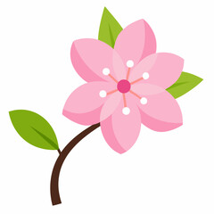 pink orchid isolated on white background