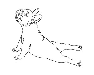 French Bulldog Line Art Illustration