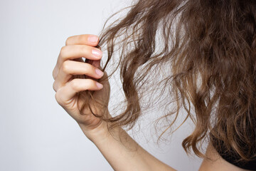 Woman holding tangled dry hair in hand. Isolated on grey background. Curly and frizzy hair...