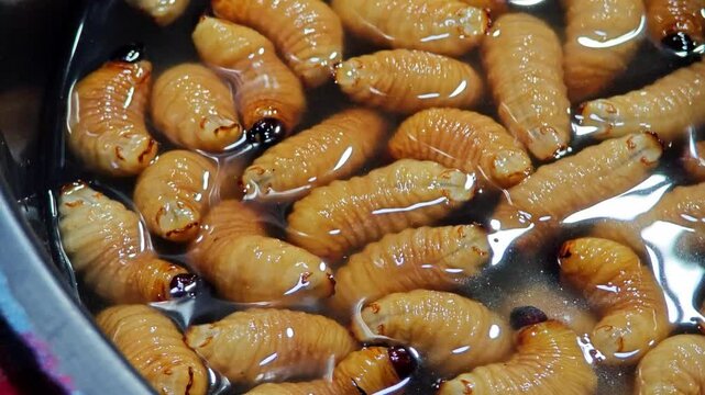 Sago worm, larvae from the red palm weevil.