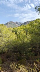 Obraz premium Stunning views over the lush Sierra Nevada mountains along Costa Del Sol in Spain