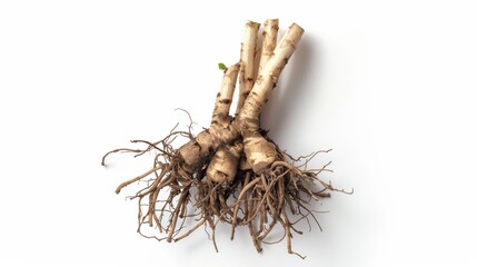 Stress relief and mindfulness benefits of valerian root extract therapy.