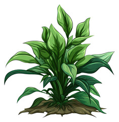 Fototapeta premium PNG Wild plant green leaf art.