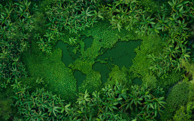 World Environment concept,Aerial view of world map on grass in rainforest.