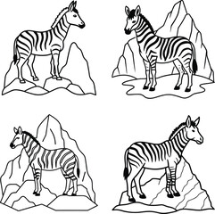 Obraz premium Zebra Vector Art Illustration Set in Black and White Hand Drawn Animal Clipart