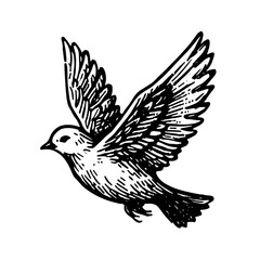 Fototapeta premium Bird in Flight Line Drawing Freedom Symbol