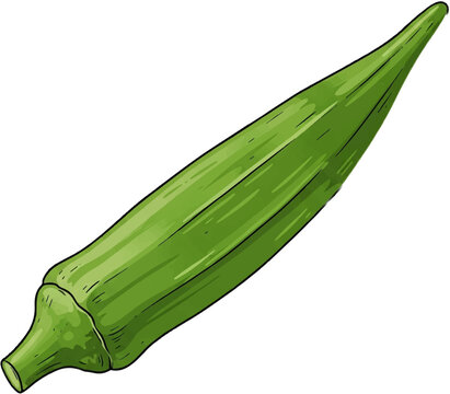 okra vegetable