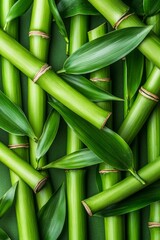 Obraz premium Green Bamboo Forest. Close Up Stems Texture. Elegant Natural Pattern Wallpaper Or Eco Background