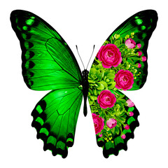 Green Gradient Butterfly Wing Merging into Succulents and Pink Roses