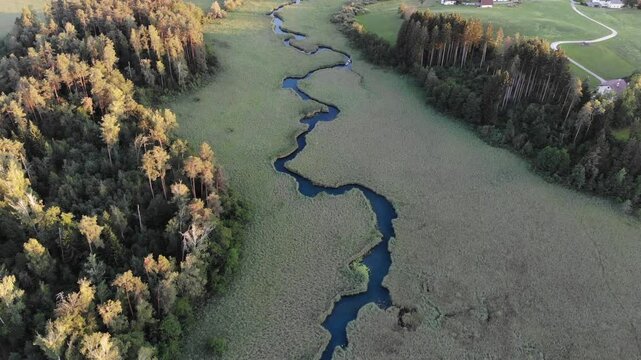 Austria drone view. Meanders among reeds on Lake Faak (Faaker See) in Carinthia state.