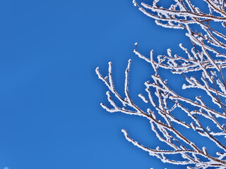 Eastern Hokkaido: Snow trekking on the outer rim of Lake Mashu in winter