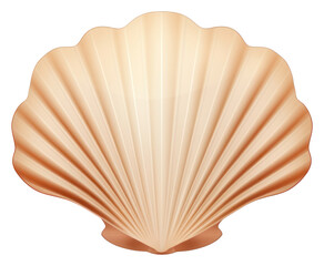 PNG Scallop-seashell clam white background invertebrate.