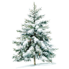 Fototapeta premium Snowy christmas tree isolated on transparent background.