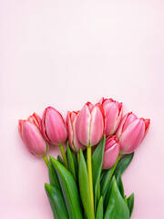 Belleza natural de un ramo de tulipanes rosados con tonos suaves y delicados, sobre un fondo pastel. Ideal para diseños minimalistas, tarjetas de felicitación, publicidad de flores o Día de la Madre.
