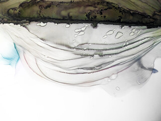 Background for Cards. Motley Aquamarine Tone. Rainbow Fluid Peach Emerald. Alcohol Ink Burgundy...
