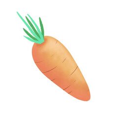 Hand drawn carrot illustration. Cute, easter, vegetable, food drawing. Watercolor and crayon/chalk style. Transparent background. 