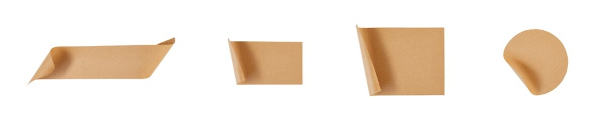 brown blank paper with torn edge isolated on white or transparent png