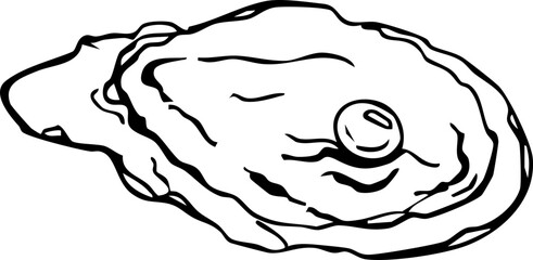 Sea shell trendy sketch hand drawn doodle, crayon brash contemporary. Sea life object, textured abstract.