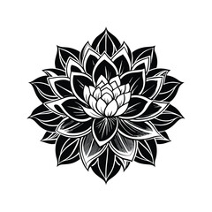 lotus flower vector