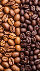 Fototapeta premium Close-up of Varieties of Roasted Coffee Beans Displayed in Stripes