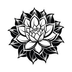 black and white flower