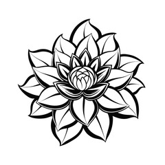vector illustration of lotus flower