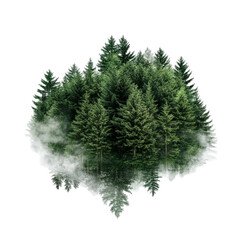 Fototapeta premium Evergreen Forest in Clouds Abstract Art Nature Scene,